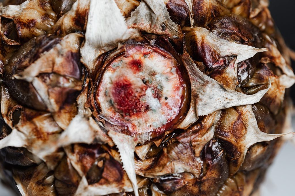 yapay gidalarin dogal alternatifleri saglikli bir beslenme icin ne yap